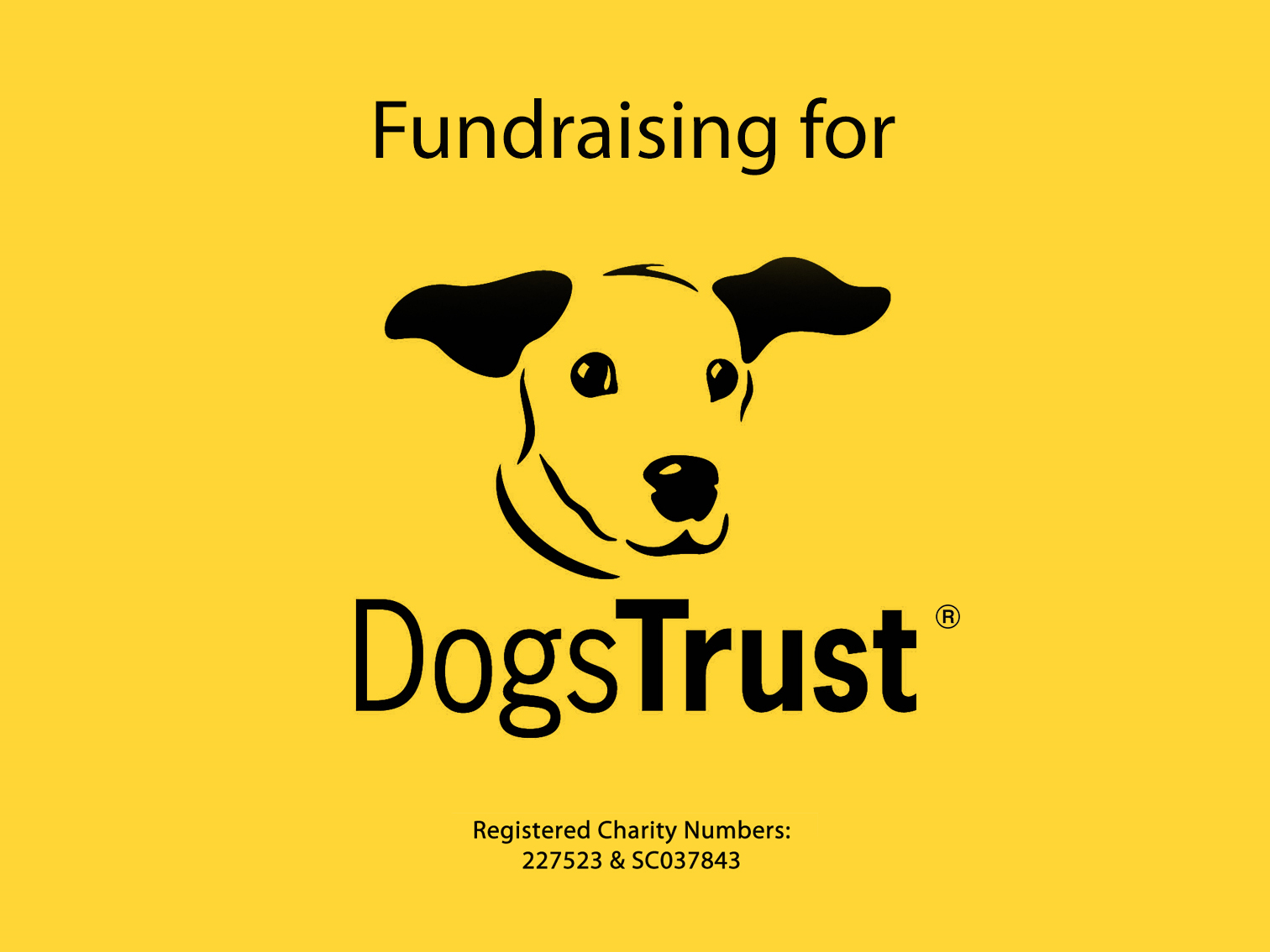 Dogs online trust shops