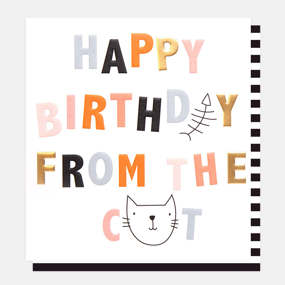 happy birthday from the cat card