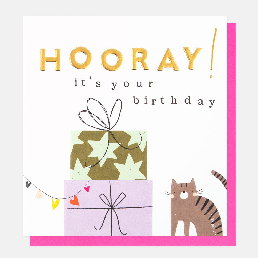 cat & presents hooray it's your birthday card