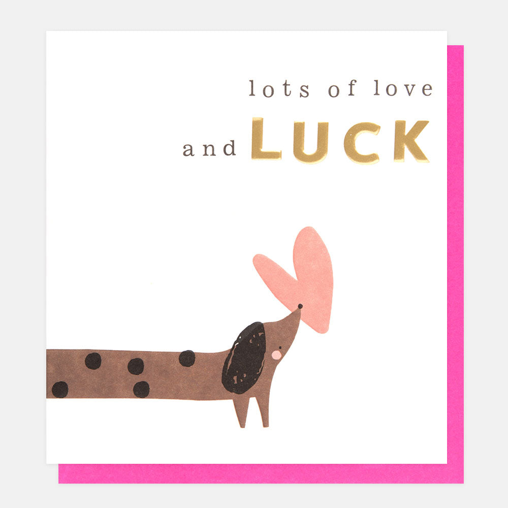 sausage dog holding a pink heart lots of love and luck good luck card