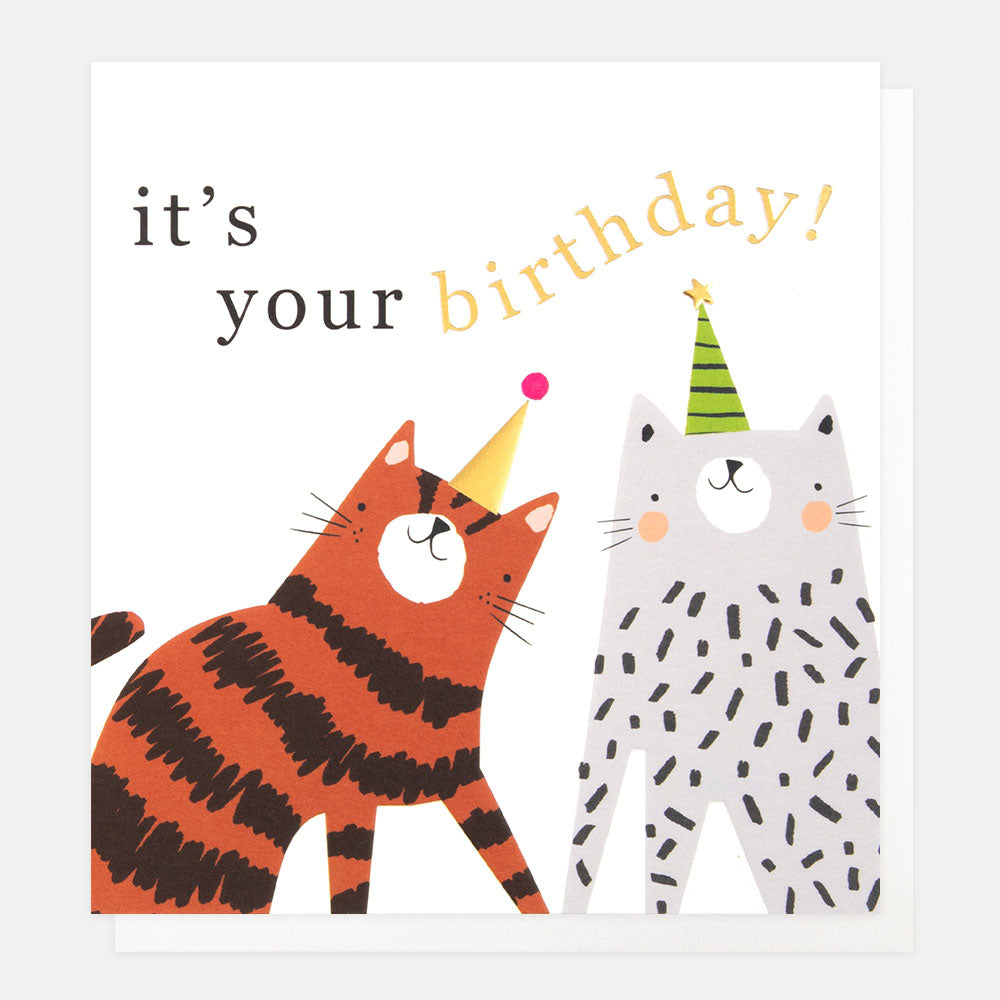 cats in party hats 'it's your birthday' card
