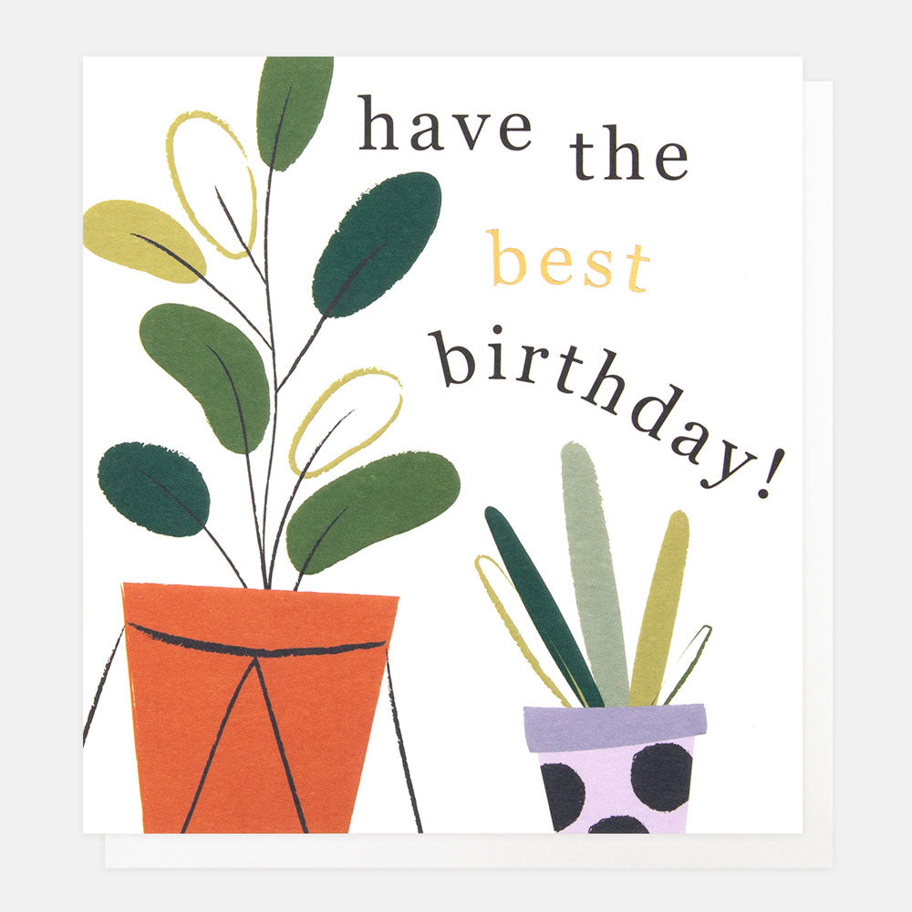 plants in pots 'have the best birthday' card