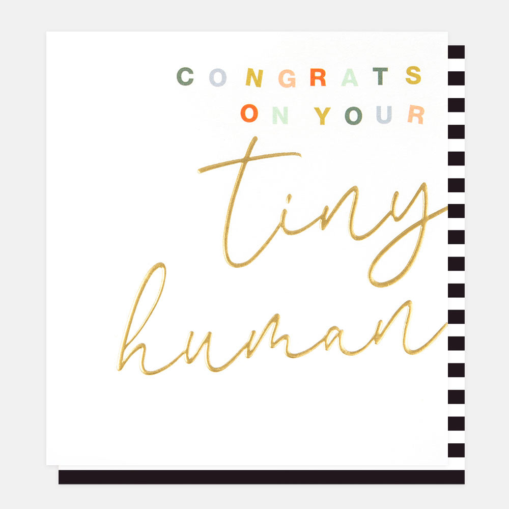 gold foil lettering congratulations on your tiny human card