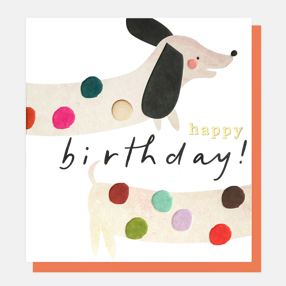 birthday card featuring a sausage dog with colourful spots and the words happy birthday