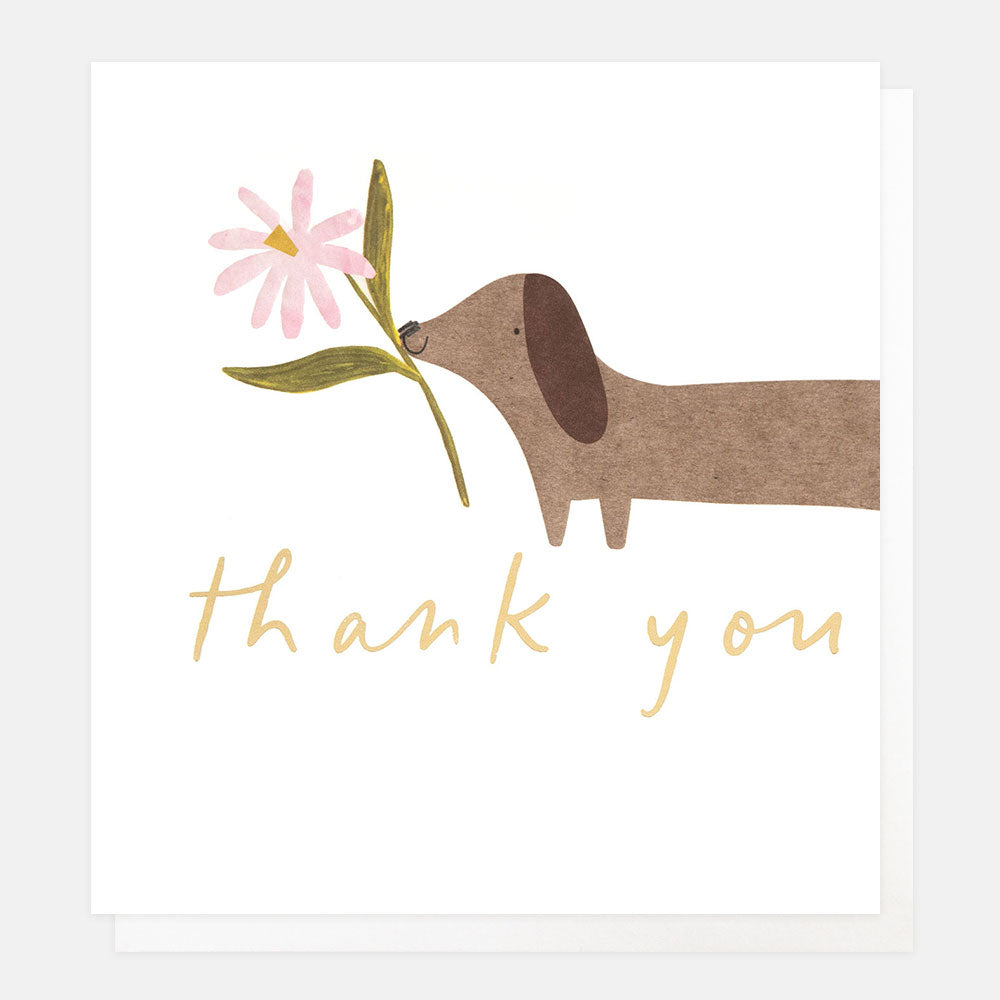 Illustration of a dachshund holding a flower with 'thank you' text on a white background