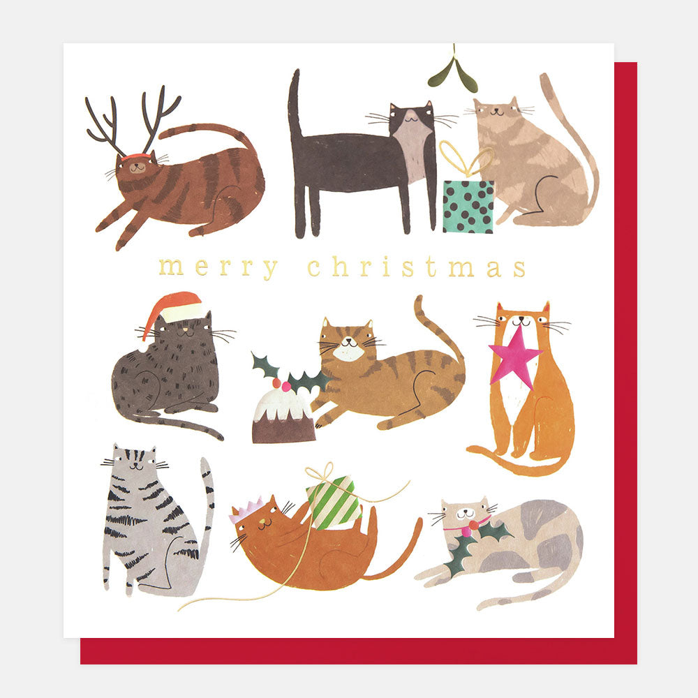 Christmas card with illustrations of cats and festive items on a white background.