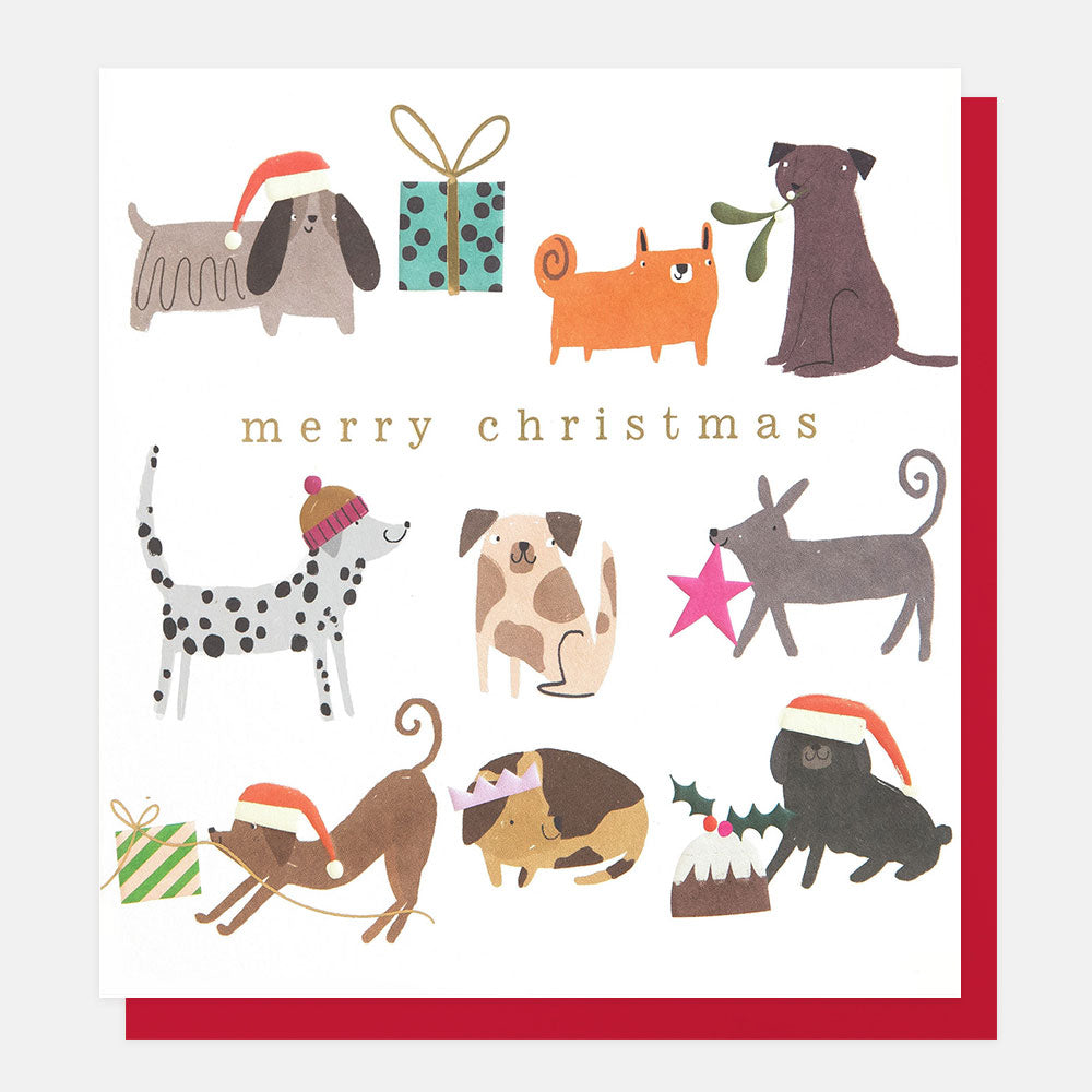 Christmas card with illustrations of dogs and festive items on a white background.