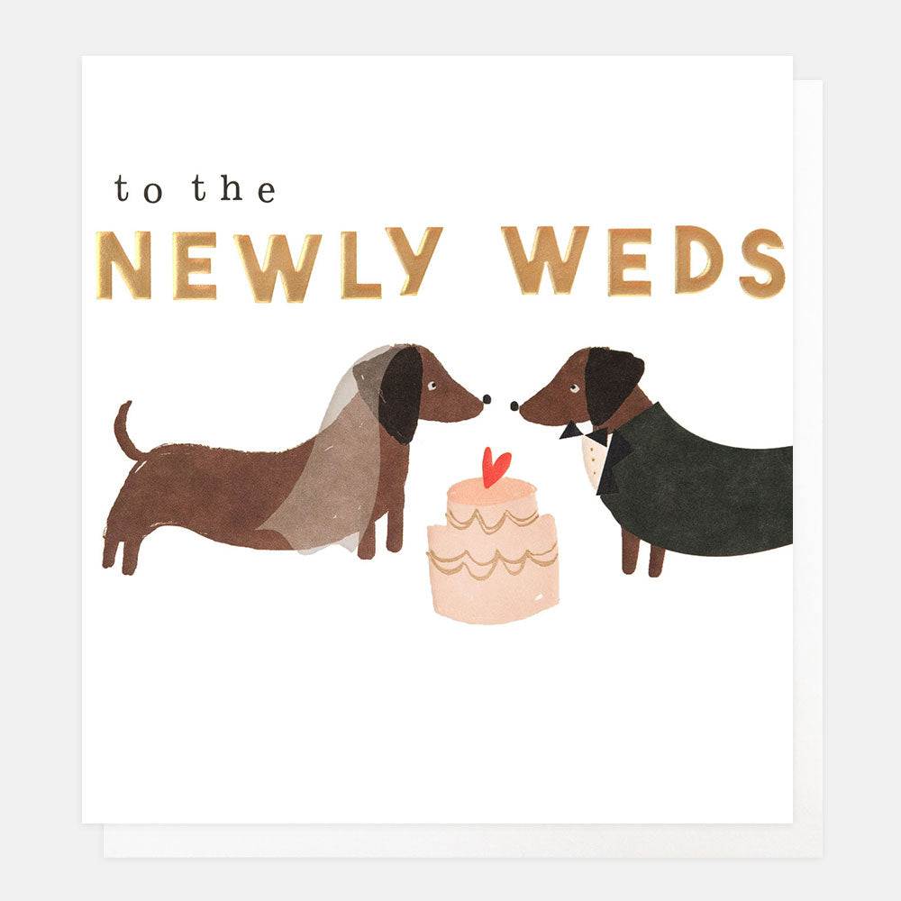wedding card featuring 2 sausage dogs dressed as a bride and groom with a cake and the words to the newlyweds
