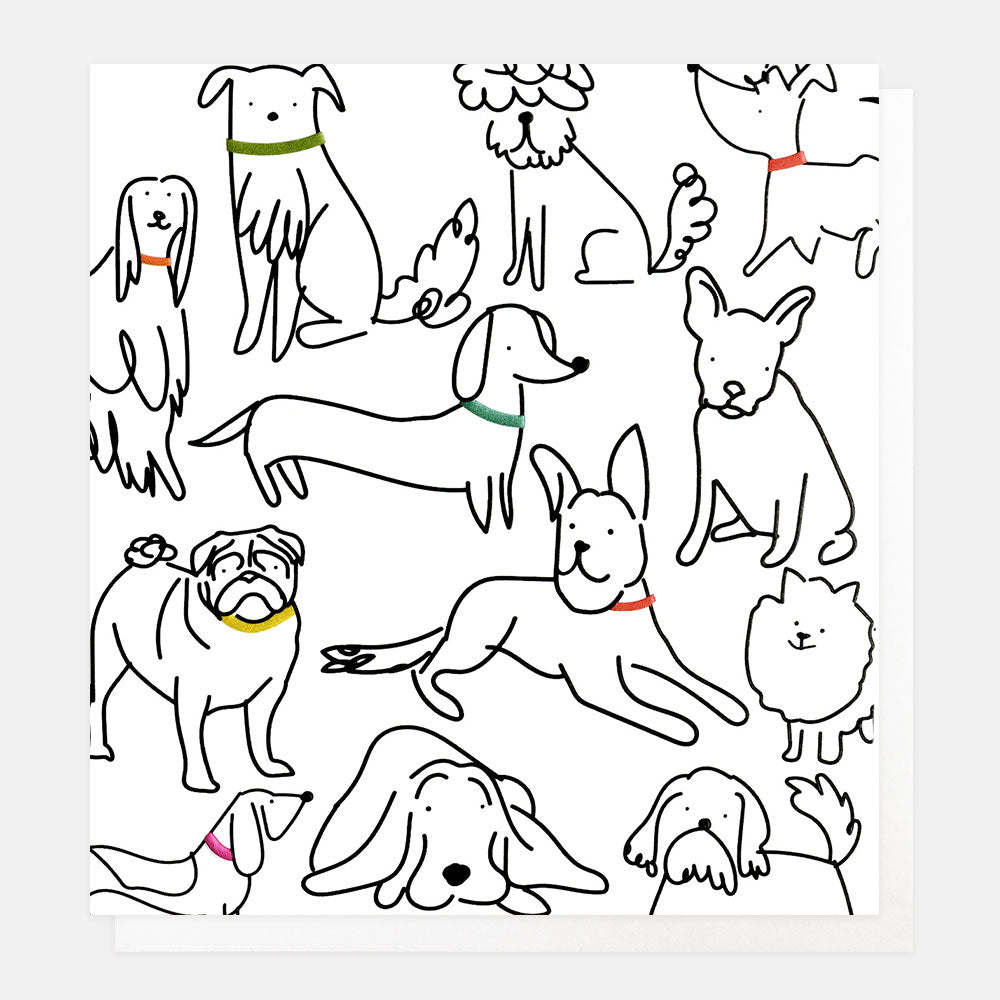 hand drawn dogs everyday card