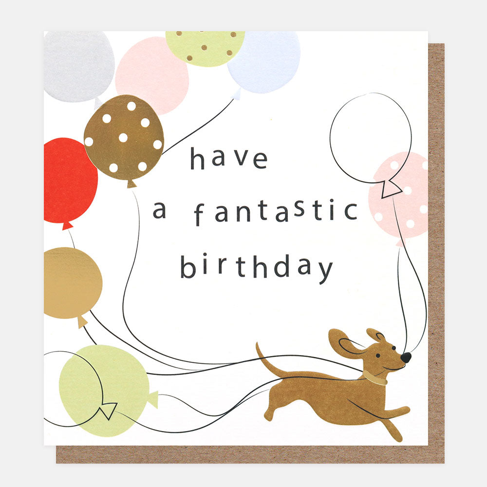 Have A Fantastic Birthday Sausage Dog & Balloons Birthday Card