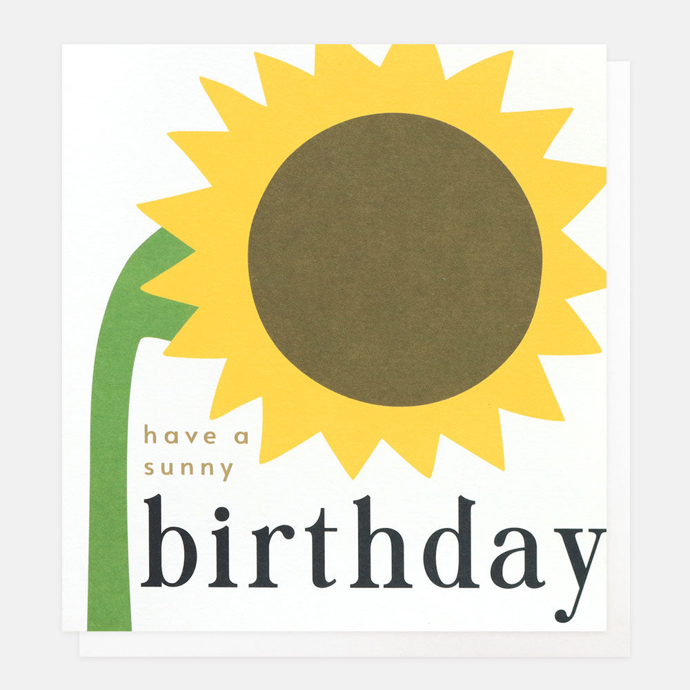 yellow sunflower have a sunny birthday card