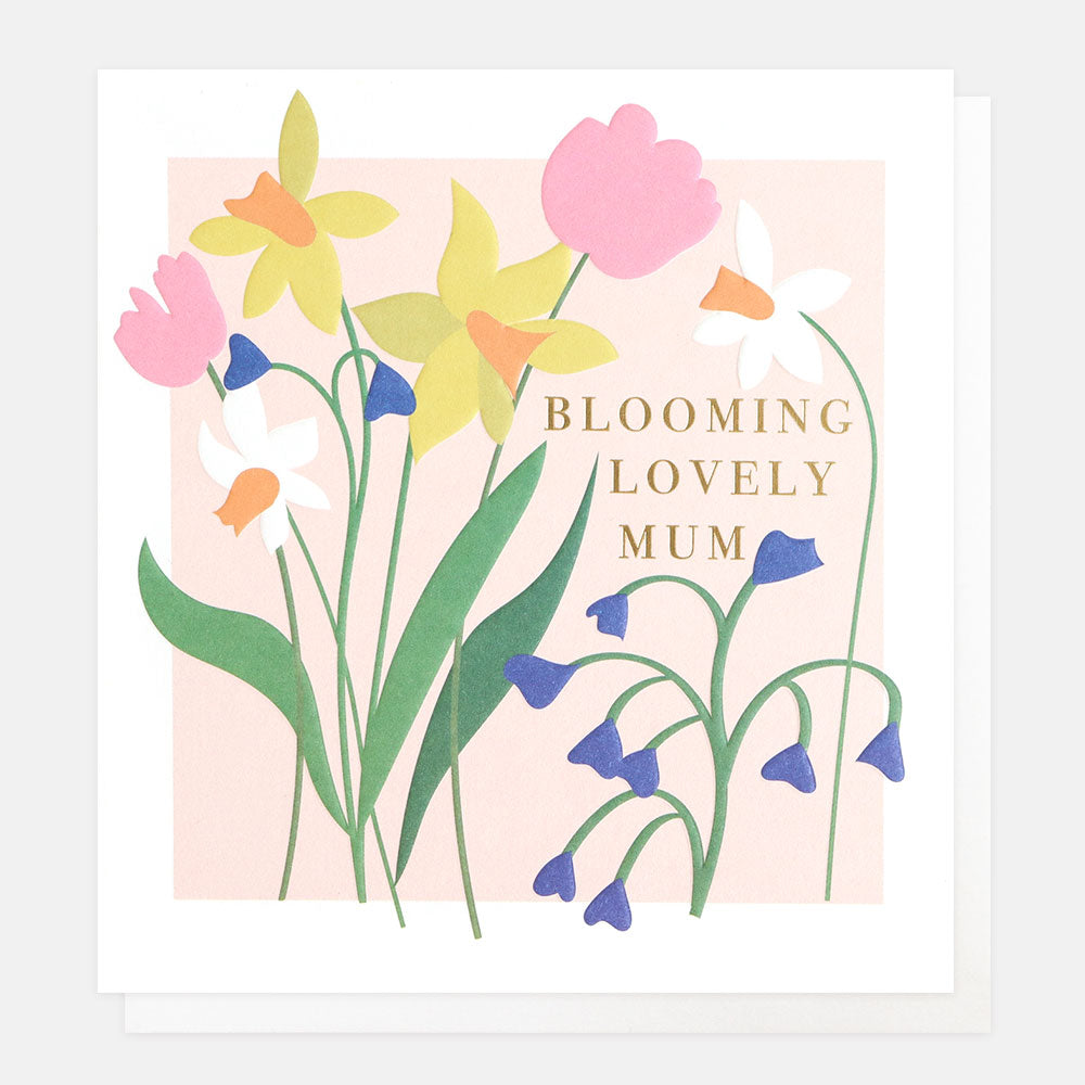 daffodils flowers pink blooming lovely mum card for birthday or mother's day