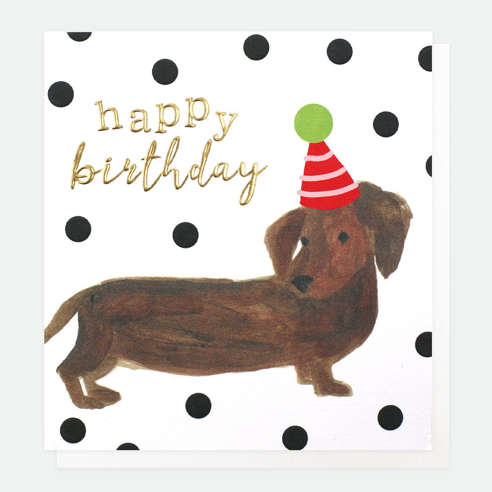 Painted Sausage Dog Birthday Card, For Her For Him Paintbrush Single Cards, 1