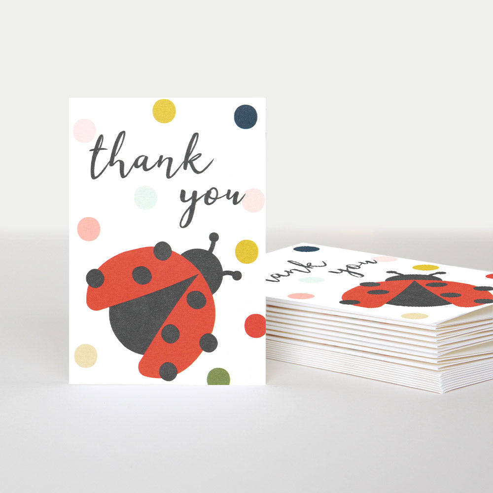 colourful spots & ladybird pack of 10 thank you cards