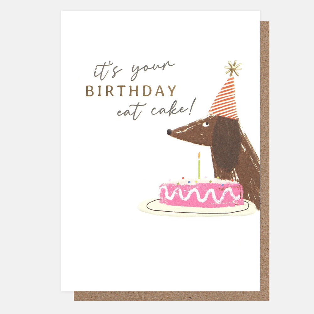 sausage dog in party hat it's your birthday eat cake card