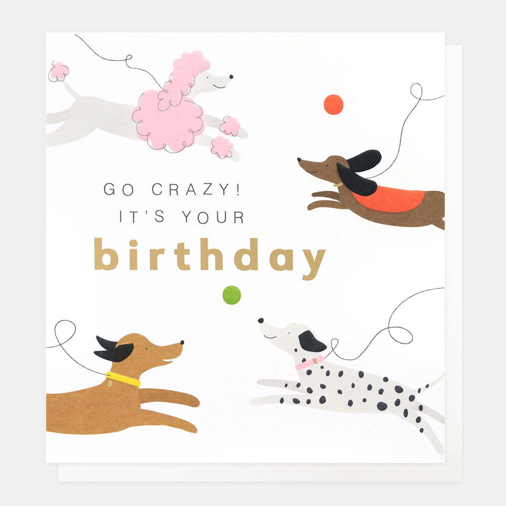 Chasing Dogs Birthday Card