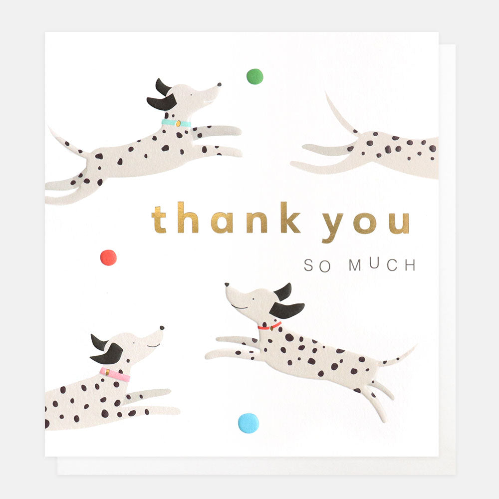 Fun-Dogs-Thank-You-Card