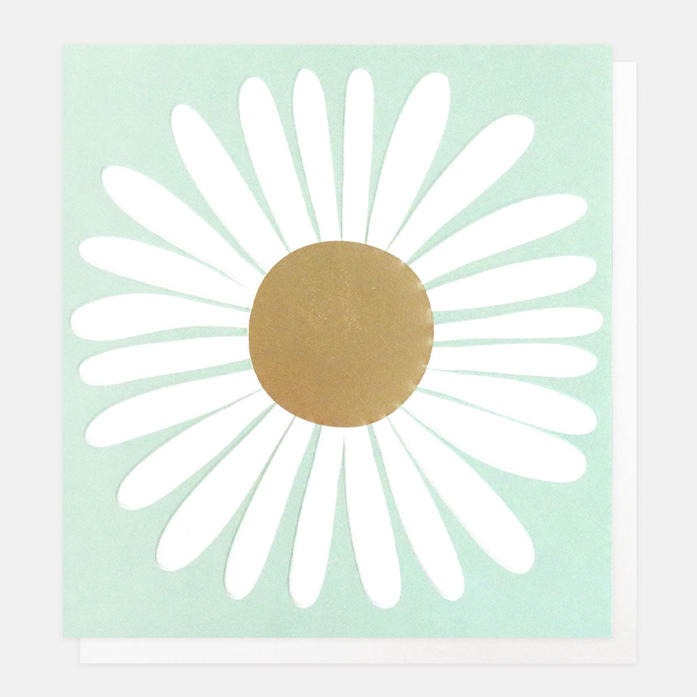 Caroline Gardner White Daisy Everyday Card