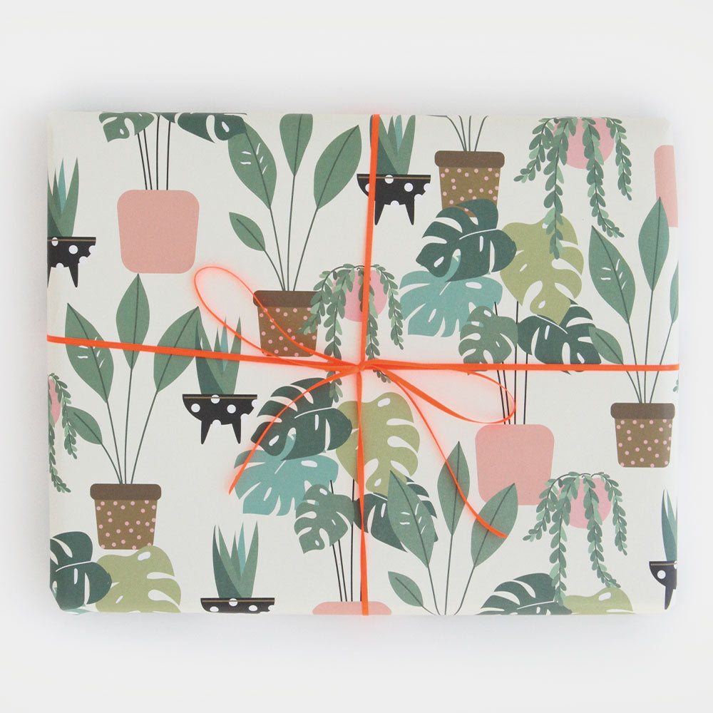 Plants in pots wrapping paper sheet