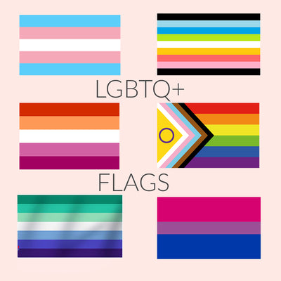 Celebrate pride Month - Six Pride Flags explained