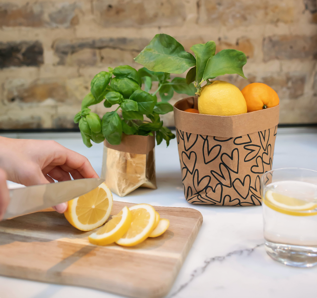 6 creative uses for our kraft paper pots