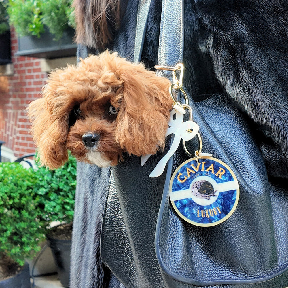 blue leather handbag with blue caviar bag charm and brown dog