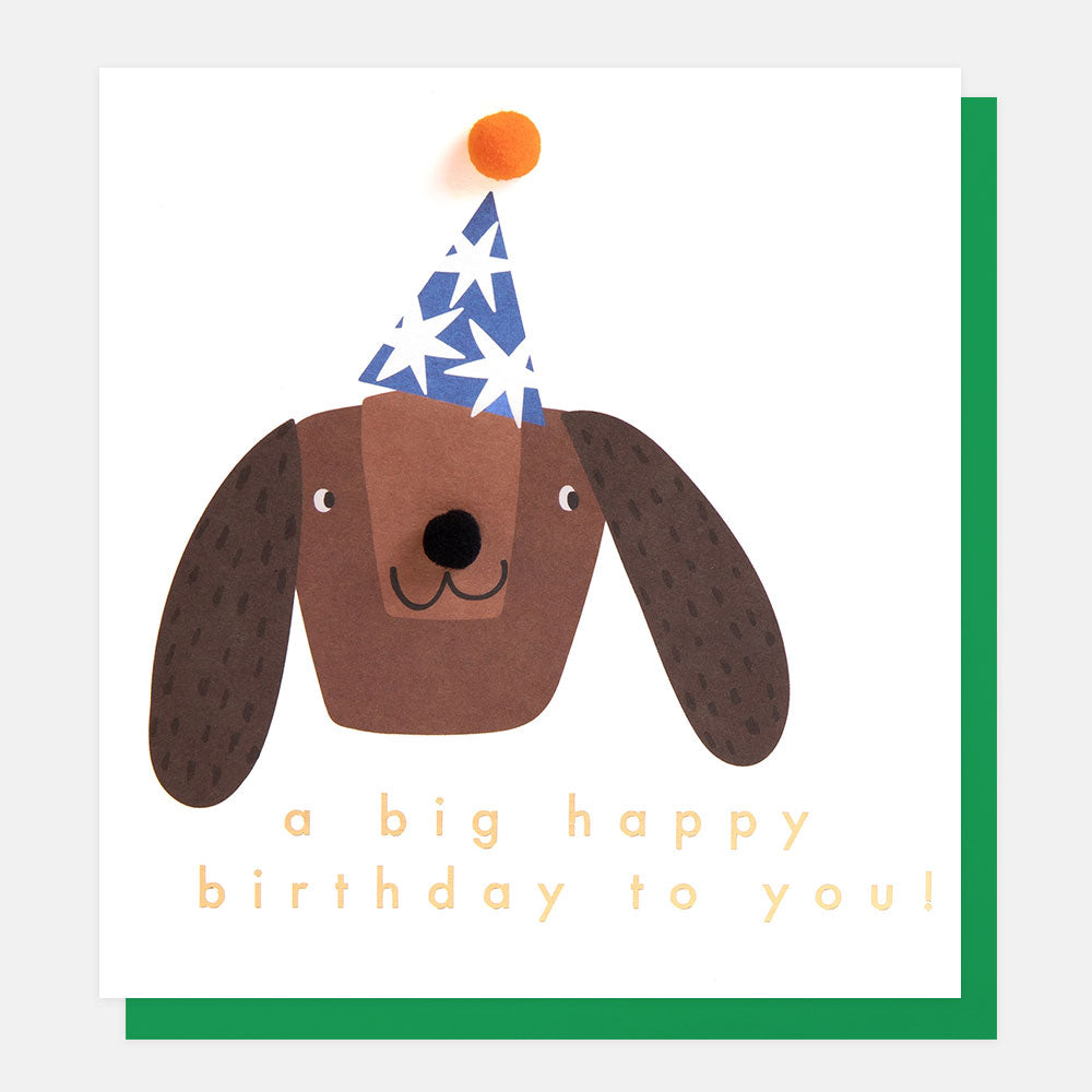 dog in a party hat 'a big happy birthday to you' card