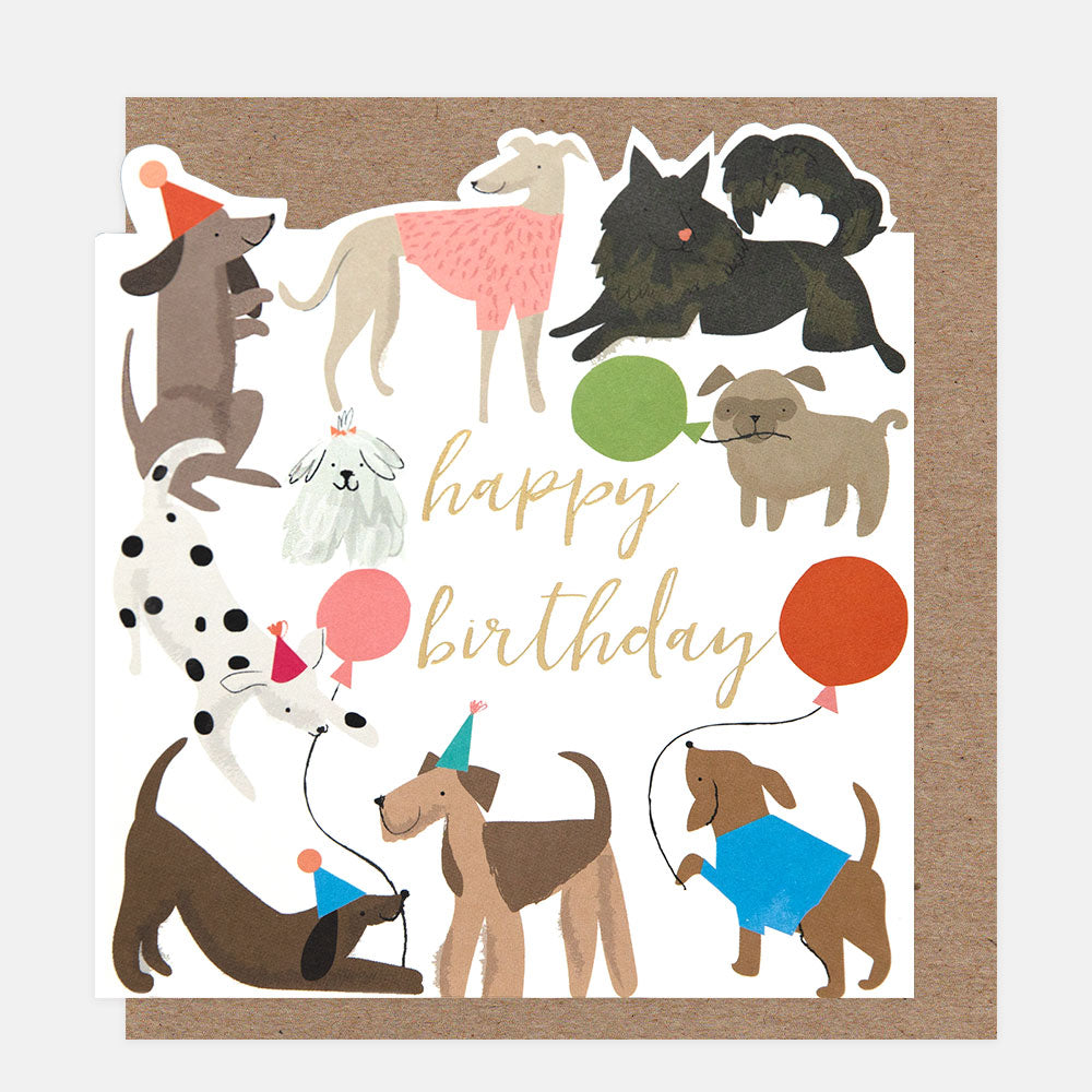 Birthday card with illustrations of dogs and balloons on a white background