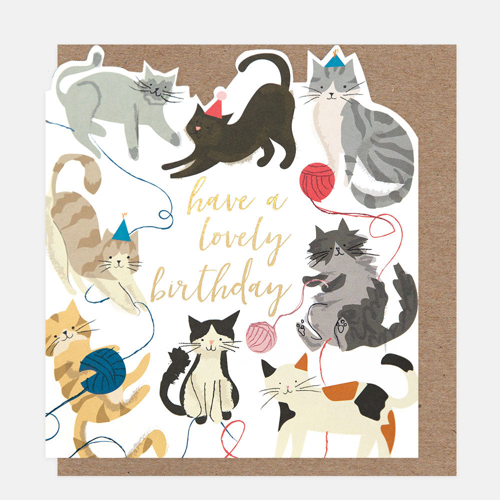 Birthday card with illustrations of cats and the text 'have a lovely birthday' on a brown border.