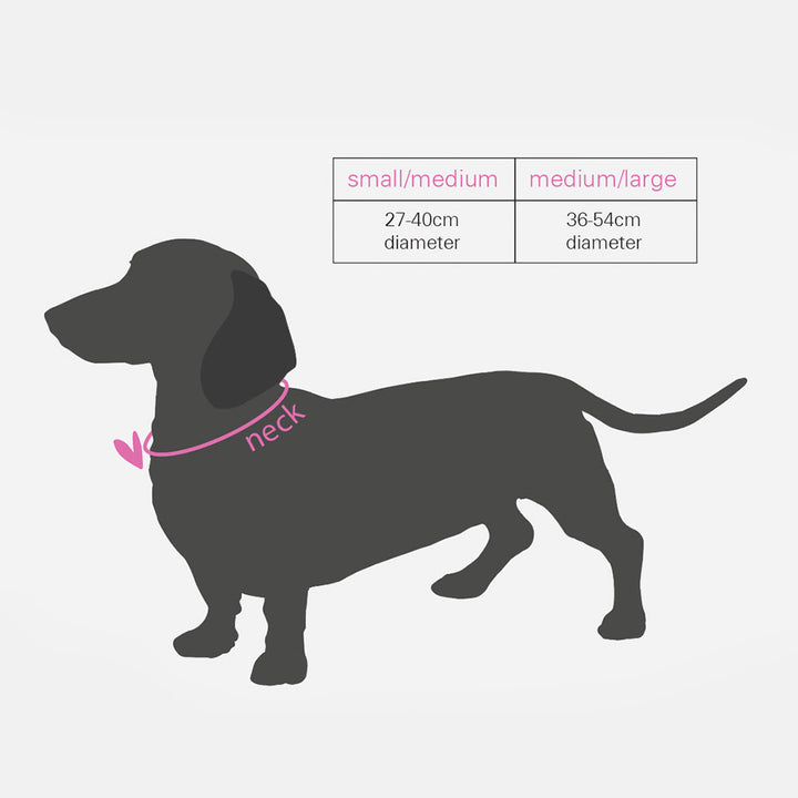 dog collar size guide 
