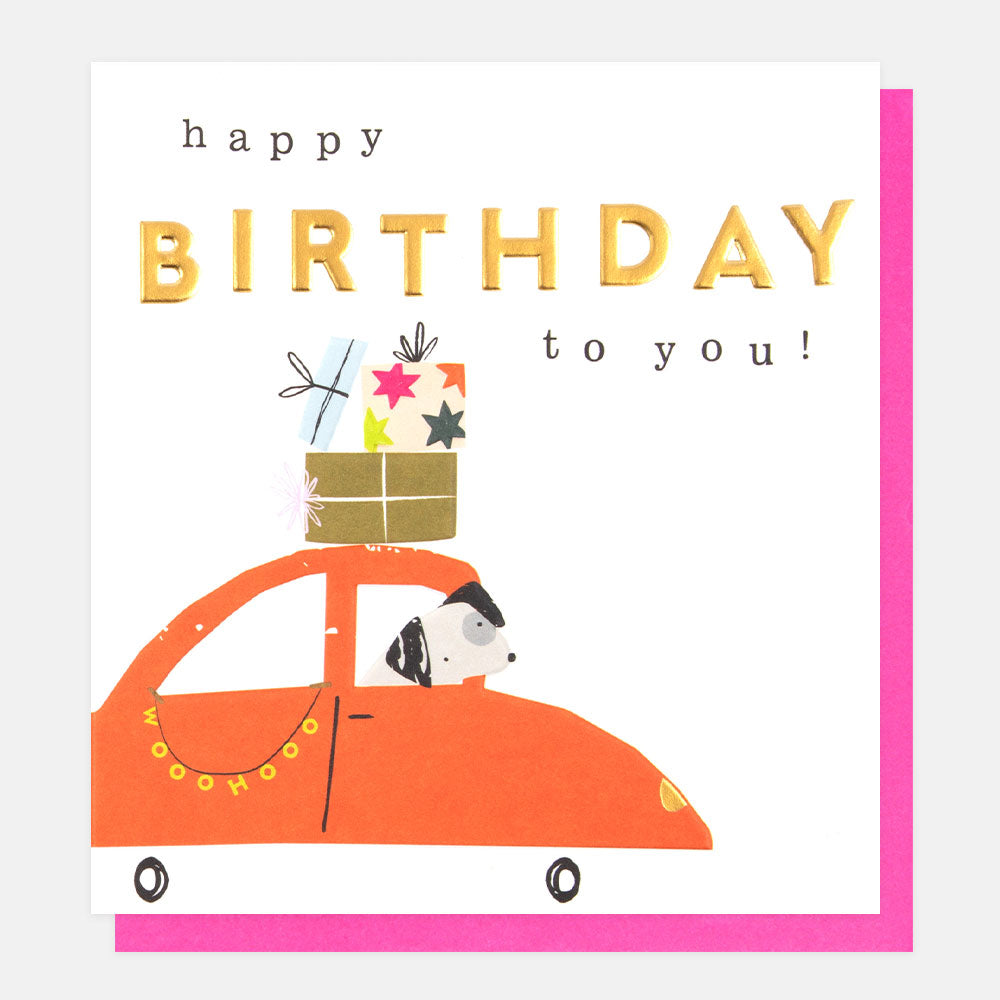 dog in car with present on the roof happy birthday to you card