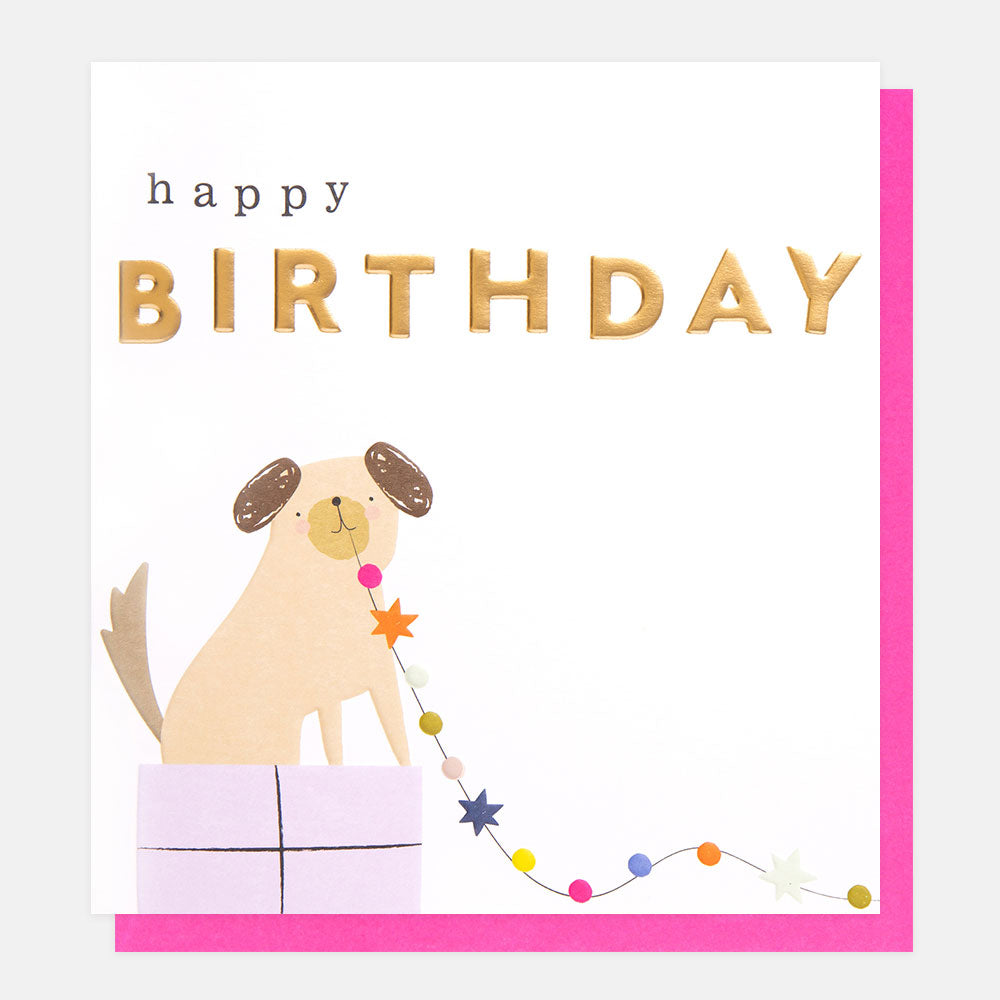 dog sat on wrapped present happy birthday card
