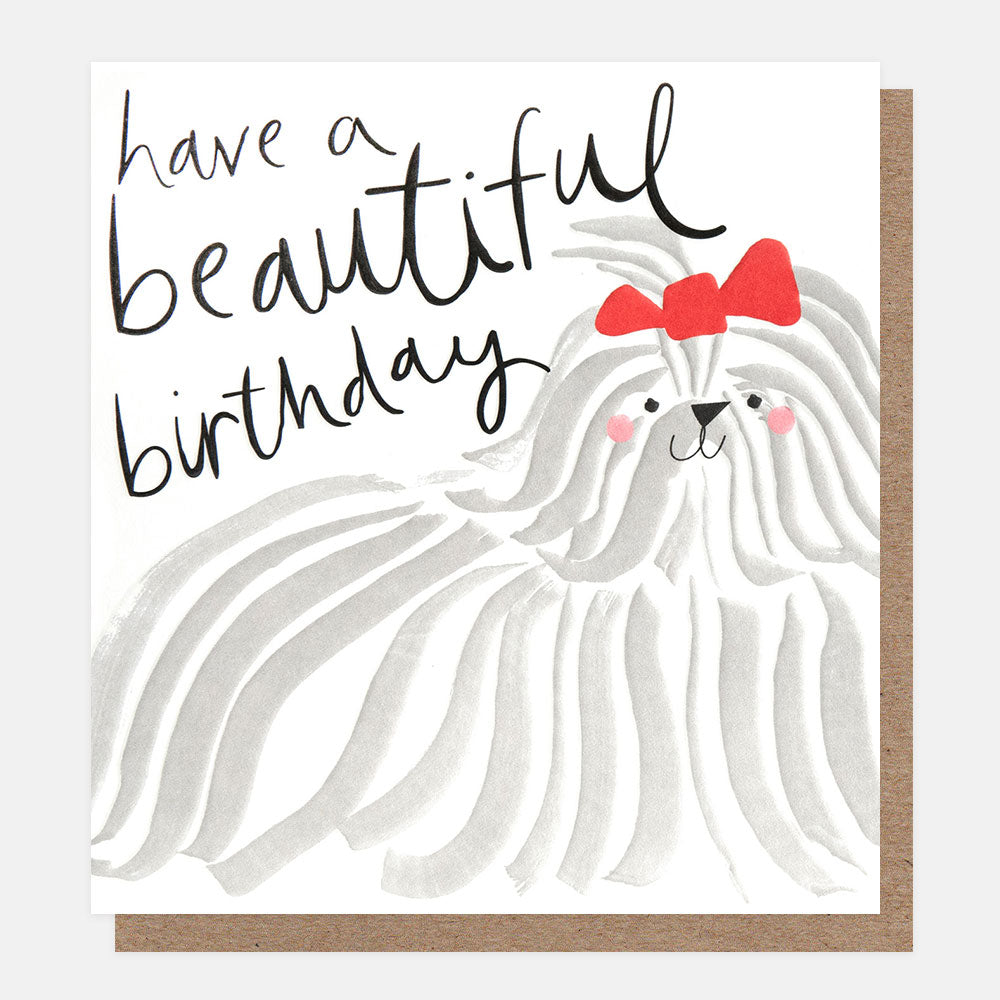birthday card featuring a long haired dog wearing a bow and 'have a beautiful birthday' message in black handwritten style lettering
