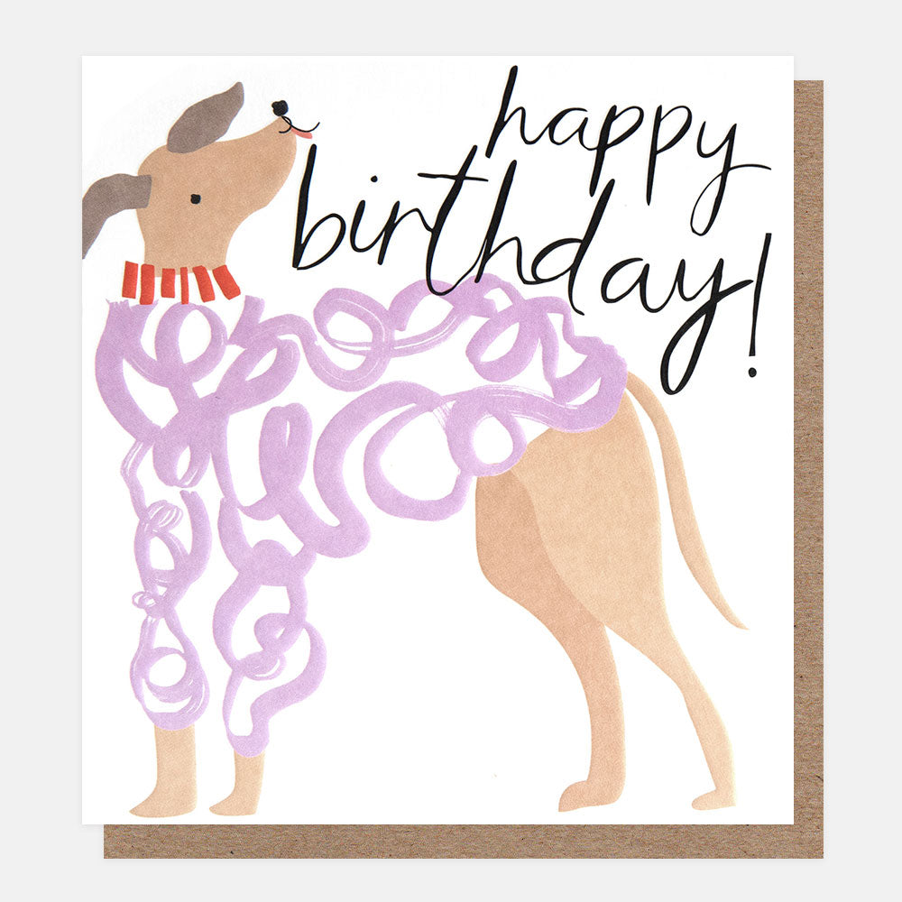 birthday card featuring a dog wearing a jumper and 'happy birthday' message in black handwritten style lettering
