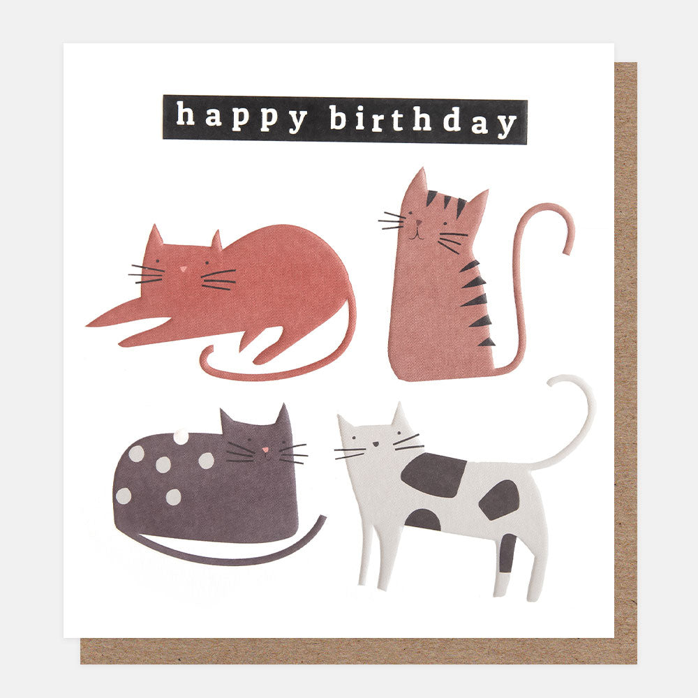 four posing cats happy birthday card