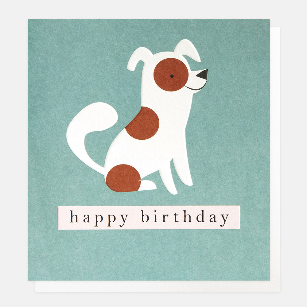 birthday card featuring a brown and white spotty dog on a teal background and the text happy birthday