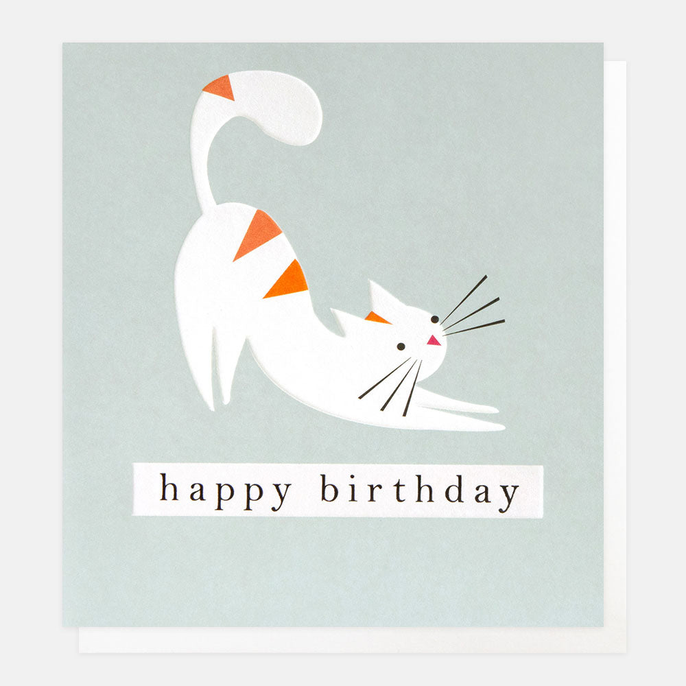 birthday card featuring a stretching white & ginger striped cat on a blue background with the text happy birthday