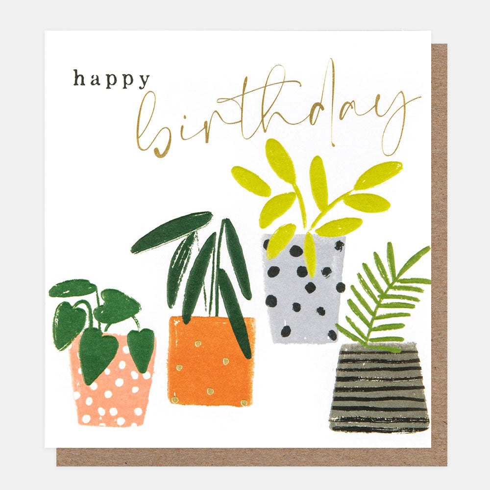 multi coloured plants in pots happy birthday card