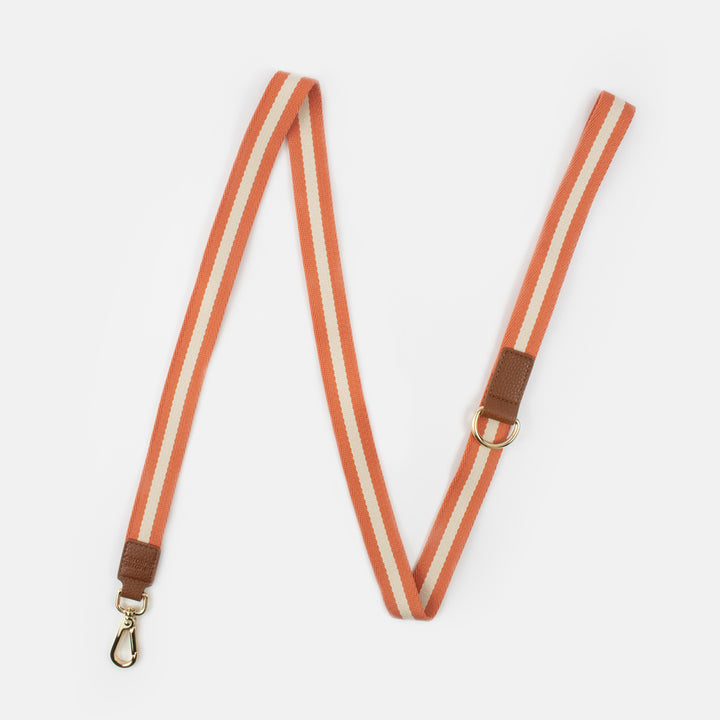 Orange and cream stripe dog lead with gold D ring and clasp