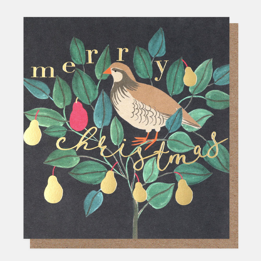 partridge in a pear tree charity christmas card with brown kraft envelope