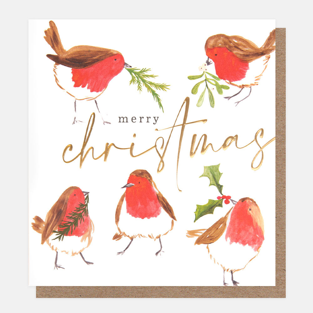 charity Christmas cards with robins holding sprigs of holly & mistletoe