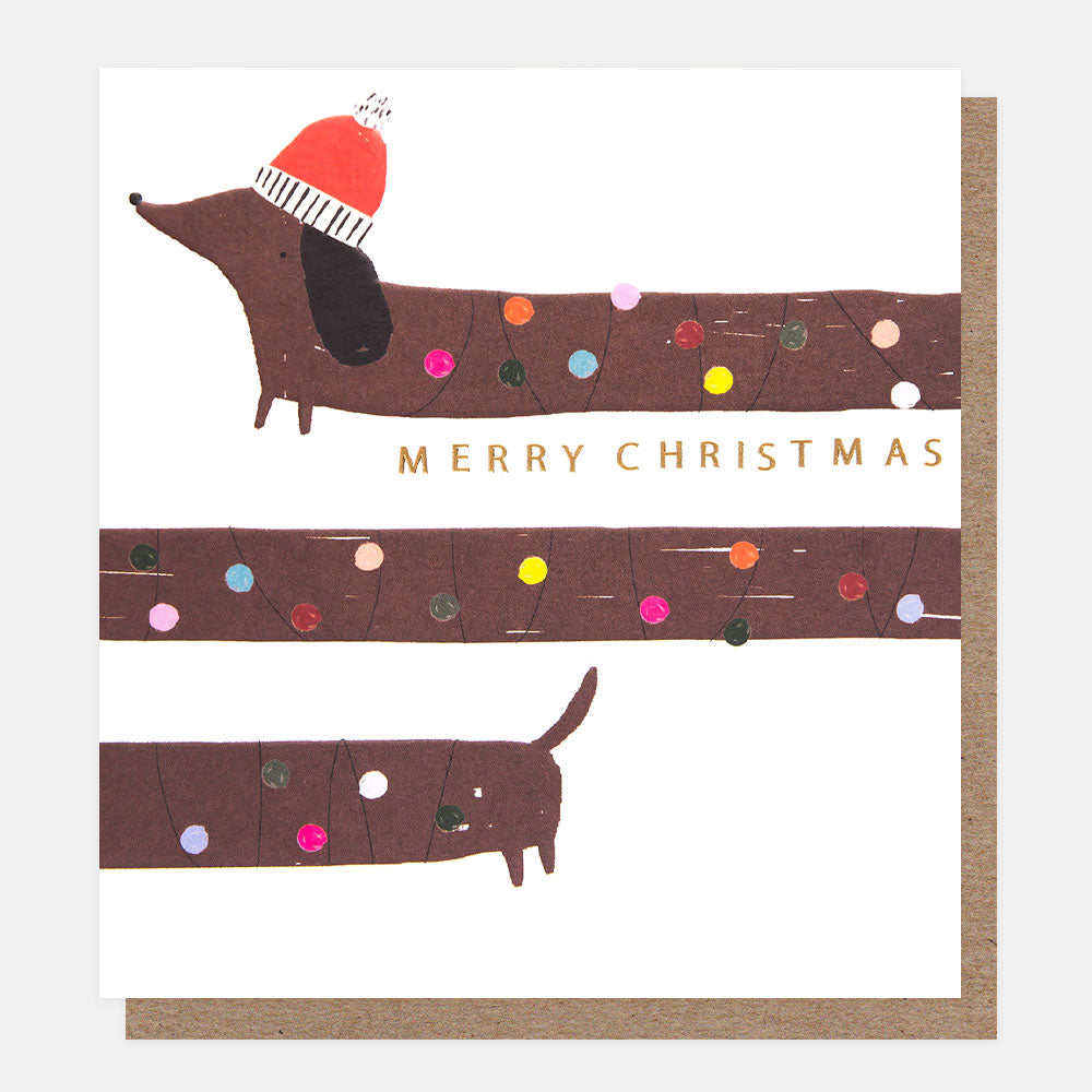 charity Christmas cards with a sausage dog wearing a santa hat and wrapped in lights