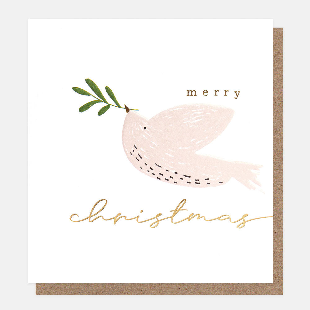 dove with sprig of mistletoe charity chirstmas card pack