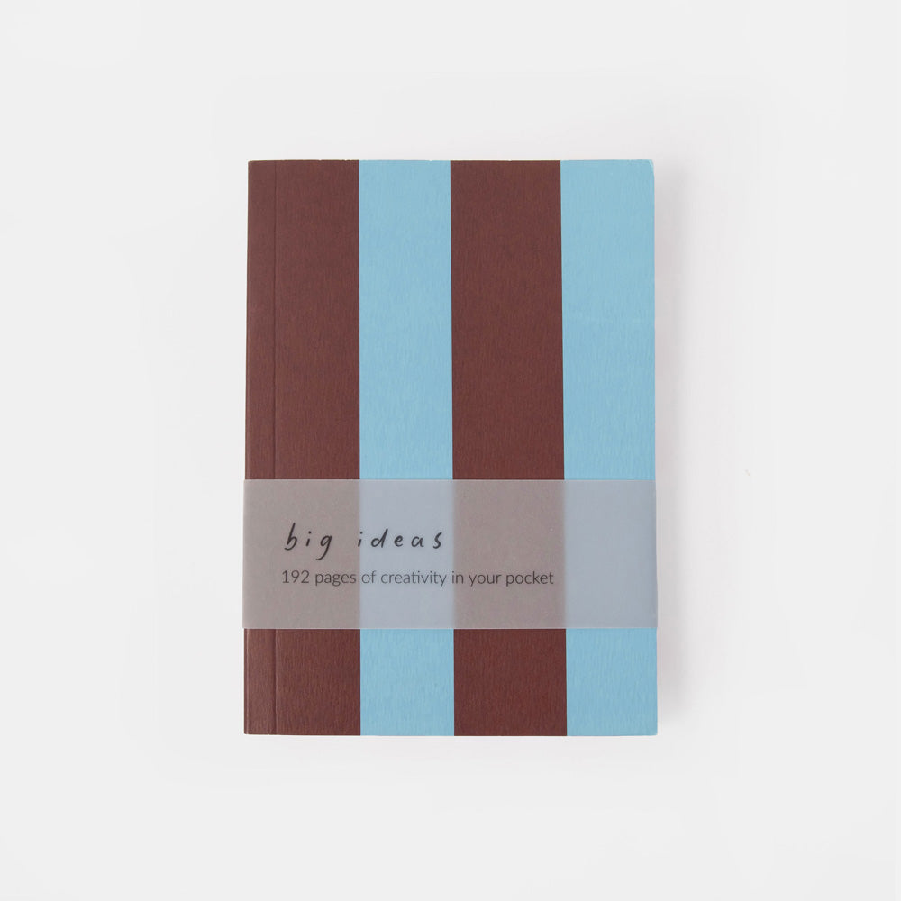 A pocket notebook with a striped cover in brown and light blue, featuring a gray paper band across the middle with the text 'big ideas 192 pages of creativity in your pocket.'.