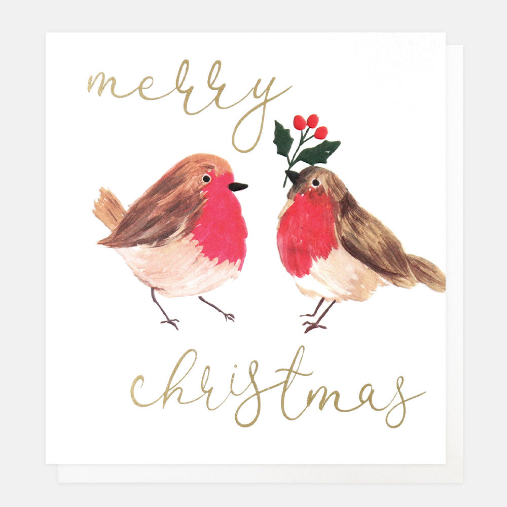 robins and holly charity christmas cards pack of 8