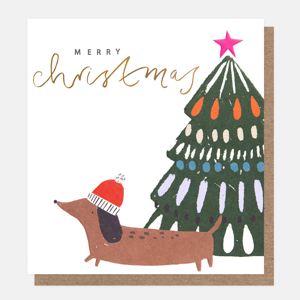 sausage dog in hat & christmas tree pack of charity christmas cards