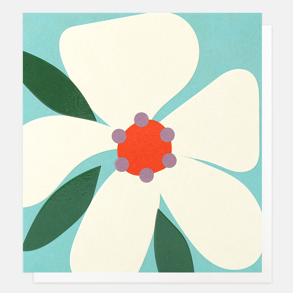 A square greetings card featuring a stylized retro flower with cream petals, dark green leaves, and a coral-red center on a light aqua background.