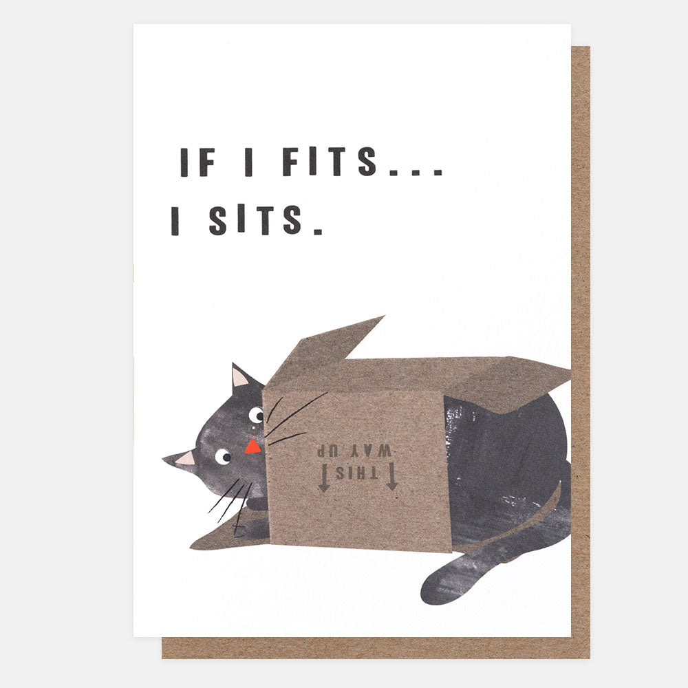 a greetings card with an illustration of a black cat inside a cardboard box with the text 'IF IT FITS...I SITS" on a white background