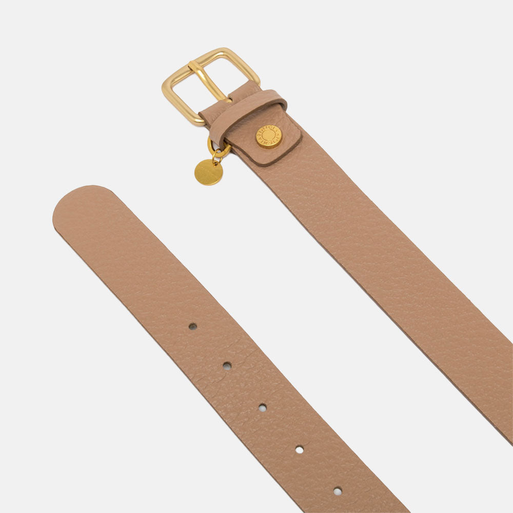 Brown leather belt with gold buckle on a light grey background