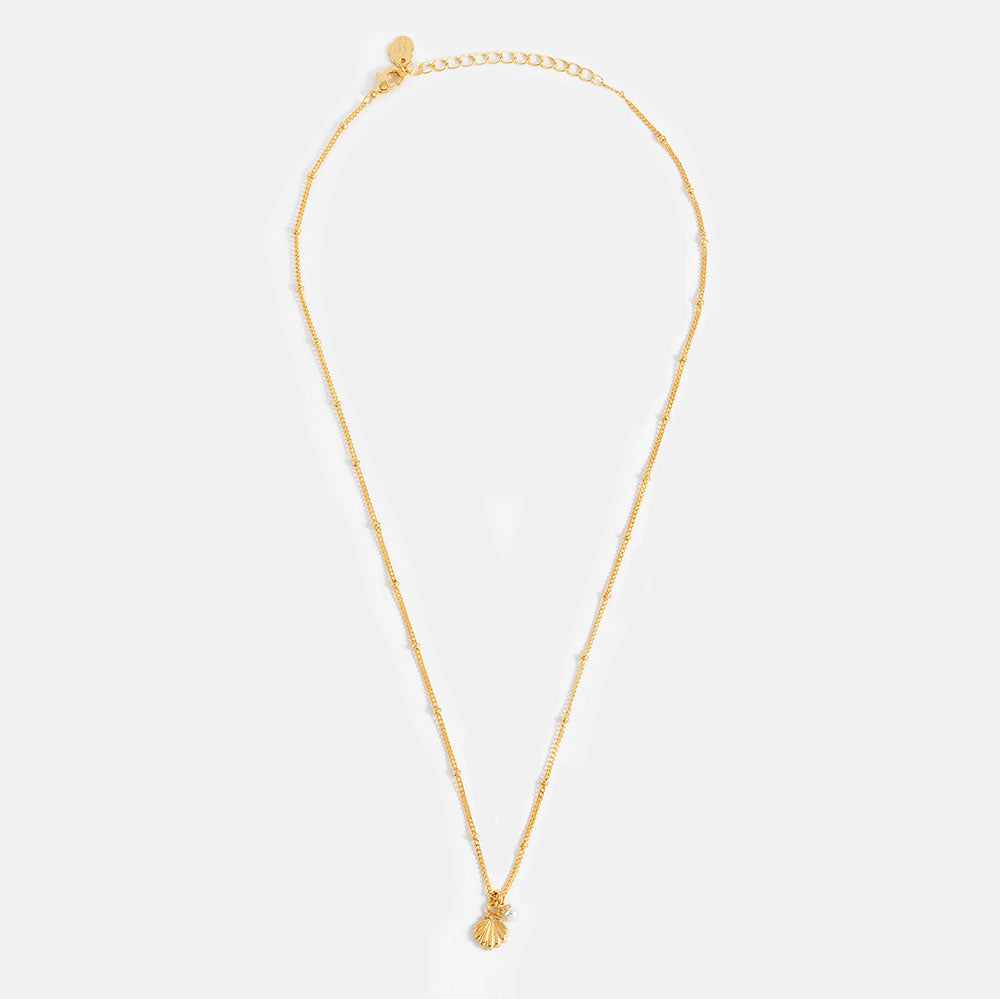 Gold necklace with a shell pendant on a white background